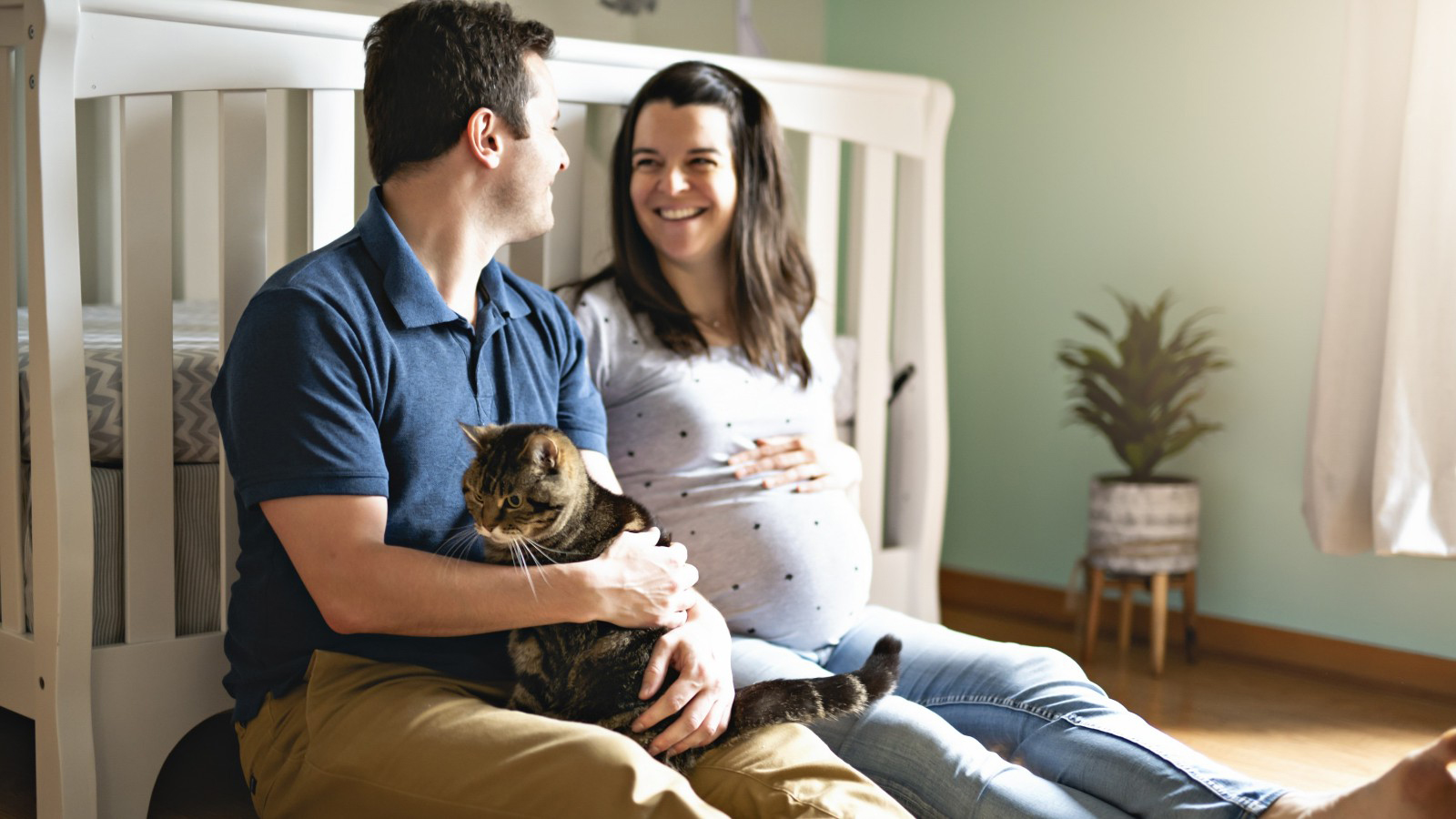 Gatos e gravidez: cuidados na convivência com os pets durante a gestação | Baw Waw