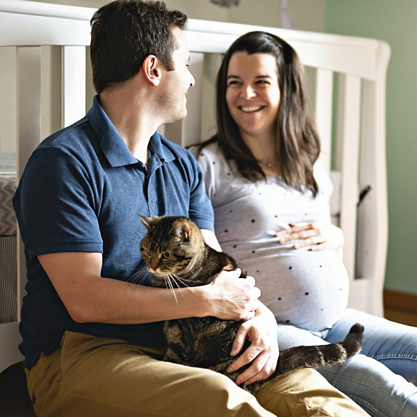 Gestantes, bebês e gatos podem viver na mesma casa com saúde; veja